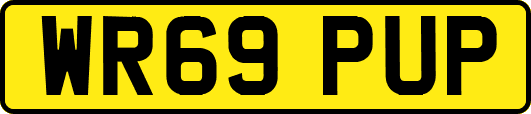 WR69PUP