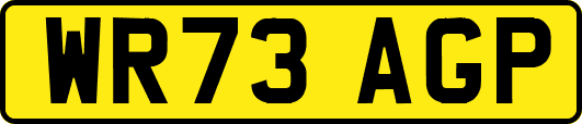 WR73AGP