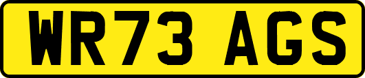 WR73AGS