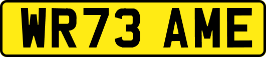 WR73AME