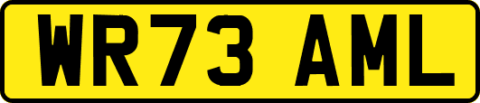 WR73AML