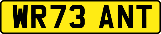 WR73ANT
