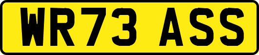 WR73ASS