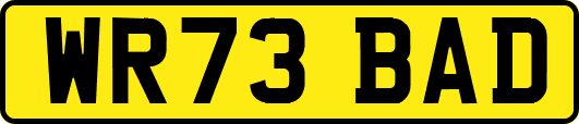 WR73BAD