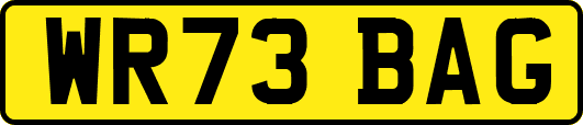 WR73BAG