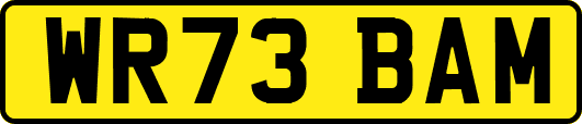 WR73BAM