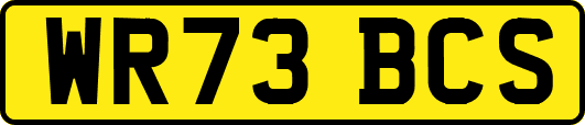 WR73BCS