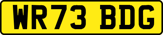 WR73BDG