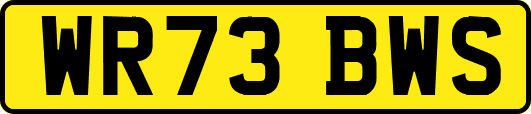 WR73BWS