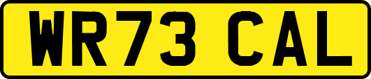 WR73CAL