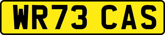 WR73CAS