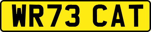WR73CAT