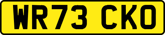 WR73CKO
