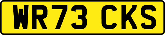 WR73CKS