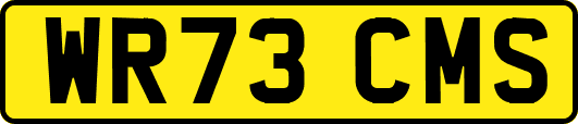 WR73CMS