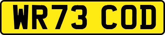 WR73COD