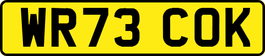 WR73COK