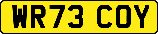 WR73COY