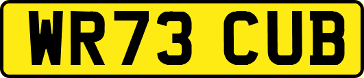 WR73CUB