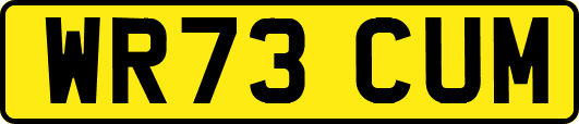 WR73CUM