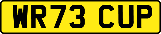 WR73CUP