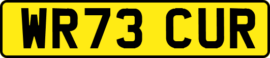 WR73CUR
