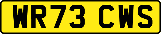 WR73CWS