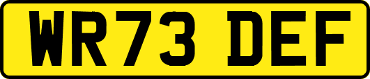 WR73DEF