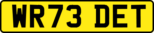 WR73DET