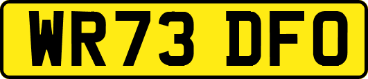 WR73DFO