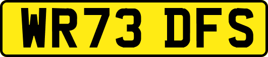 WR73DFS
