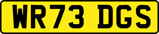 WR73DGS