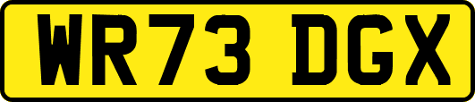 WR73DGX