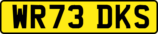 WR73DKS