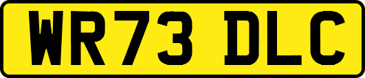 WR73DLC