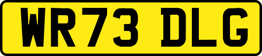 WR73DLG