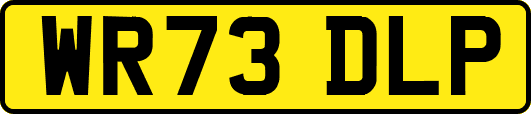 WR73DLP
