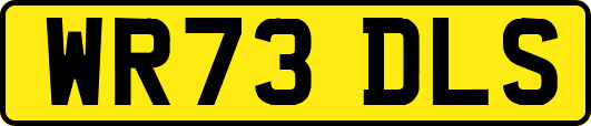 WR73DLS