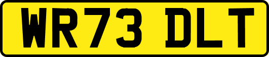 WR73DLT