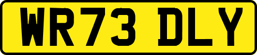 WR73DLY