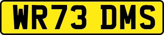 WR73DMS