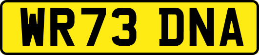 WR73DNA