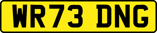 WR73DNG
