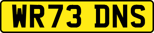 WR73DNS
