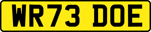 WR73DOE