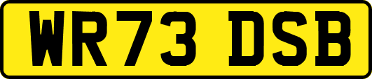 WR73DSB