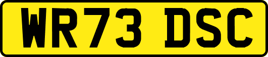 WR73DSC