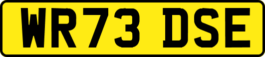 WR73DSE