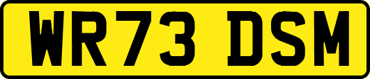WR73DSM