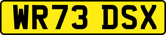 WR73DSX